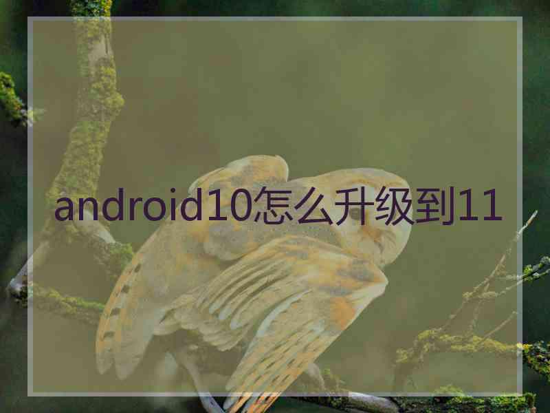 android10怎么升级到11