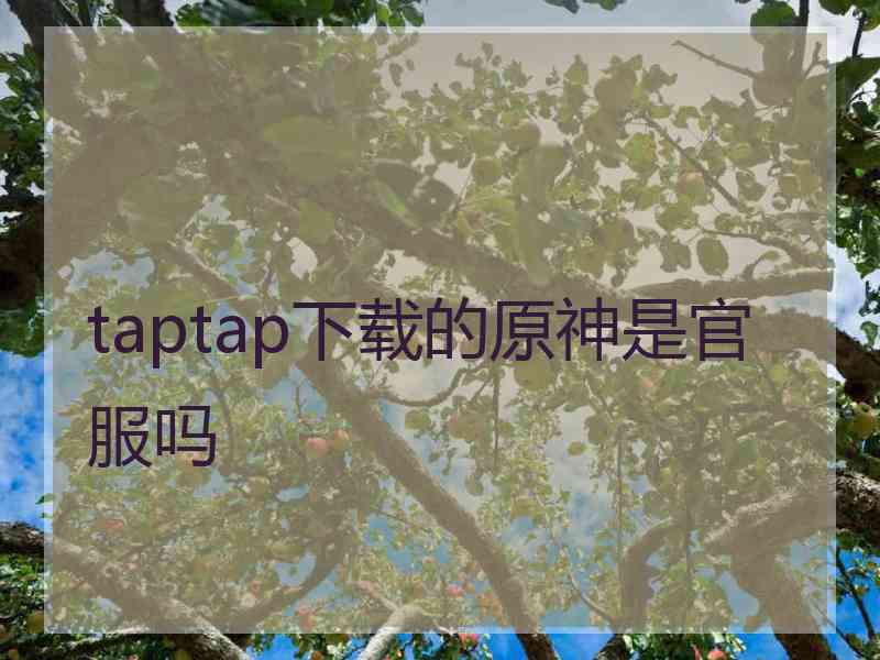 taptap下载的原神是官服吗