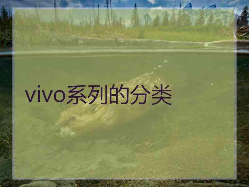 vivo系列的分类