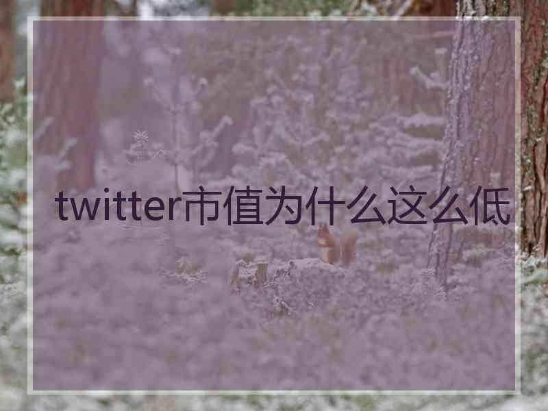 twitter市值为什么这么低