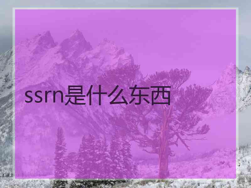 ssrn是什么东西