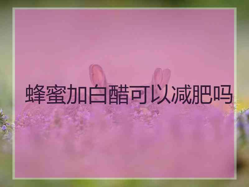 蜂蜜加白醋可以减肥吗