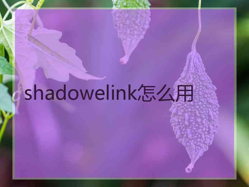 shadowelink怎么用