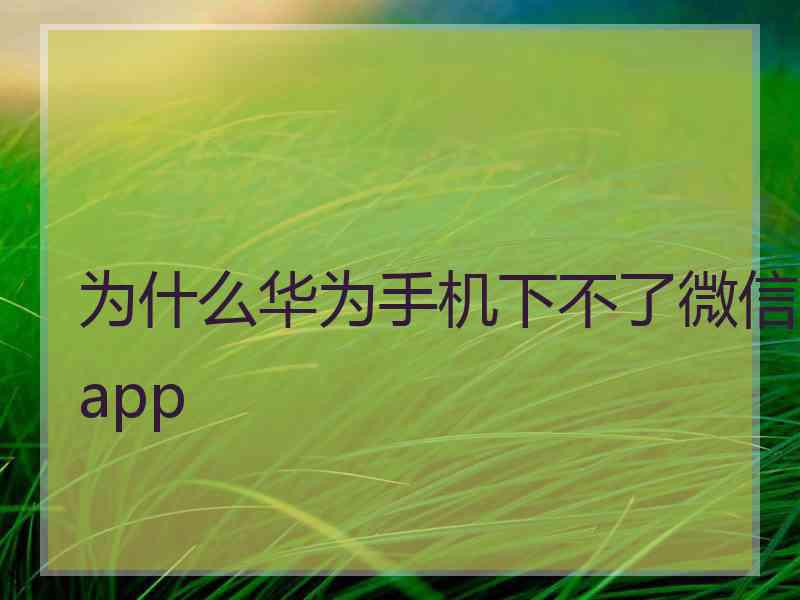 为什么华为手机下不了微信app