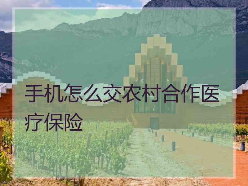 手机怎么交农村合作医疗保险