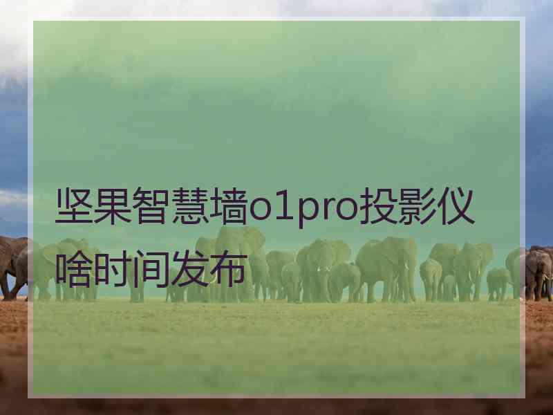 坚果智慧墙o1pro投影仪啥时间发布