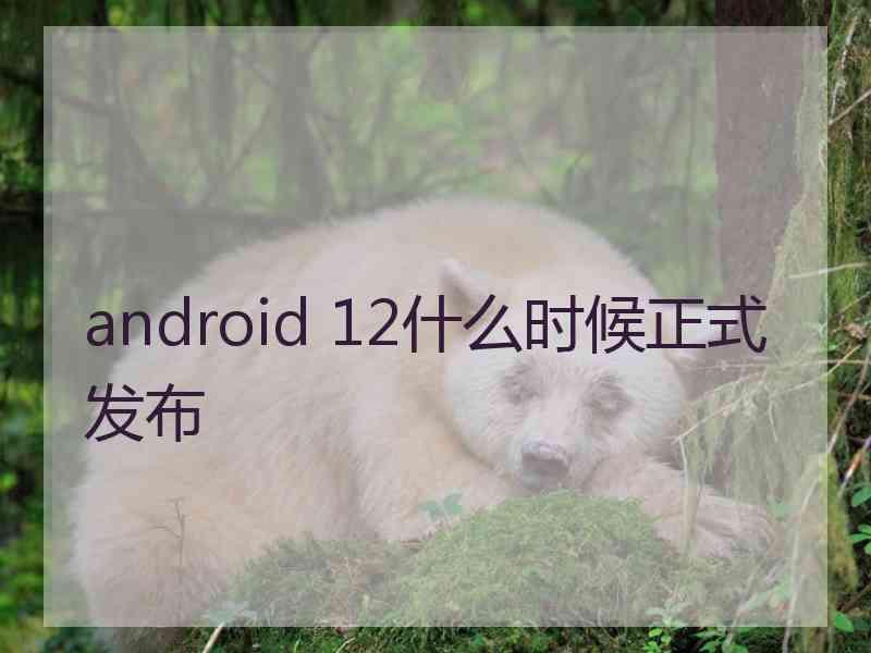 android 12什么时候正式发布