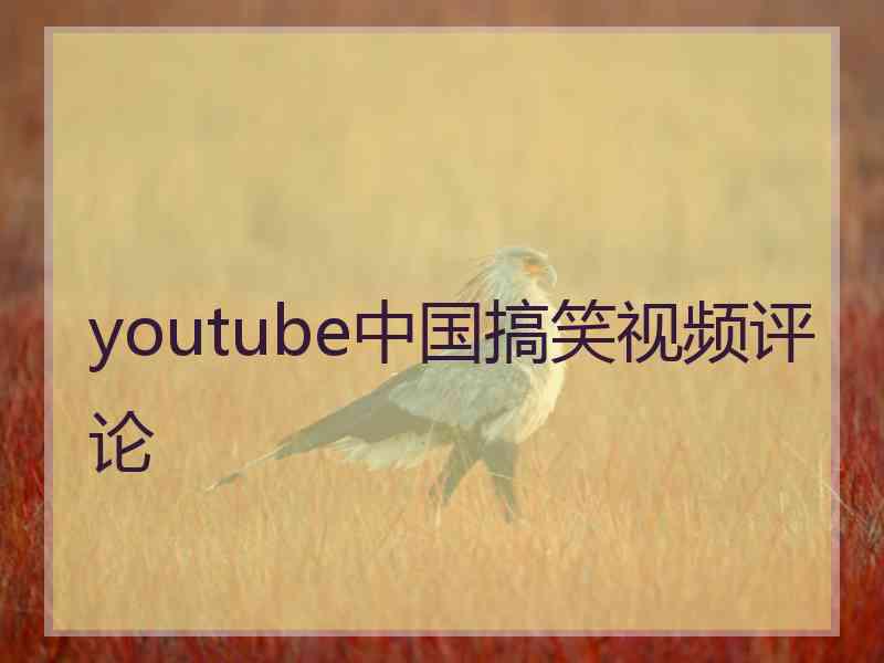 youtube中国搞笑视频评论