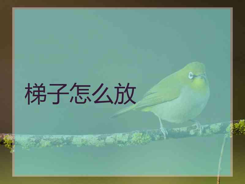 梯子怎么放