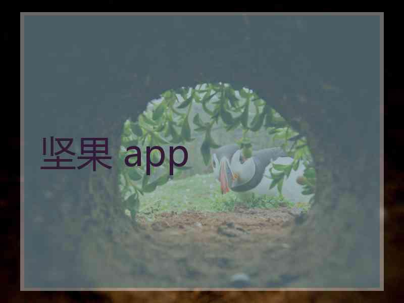 坚果 app