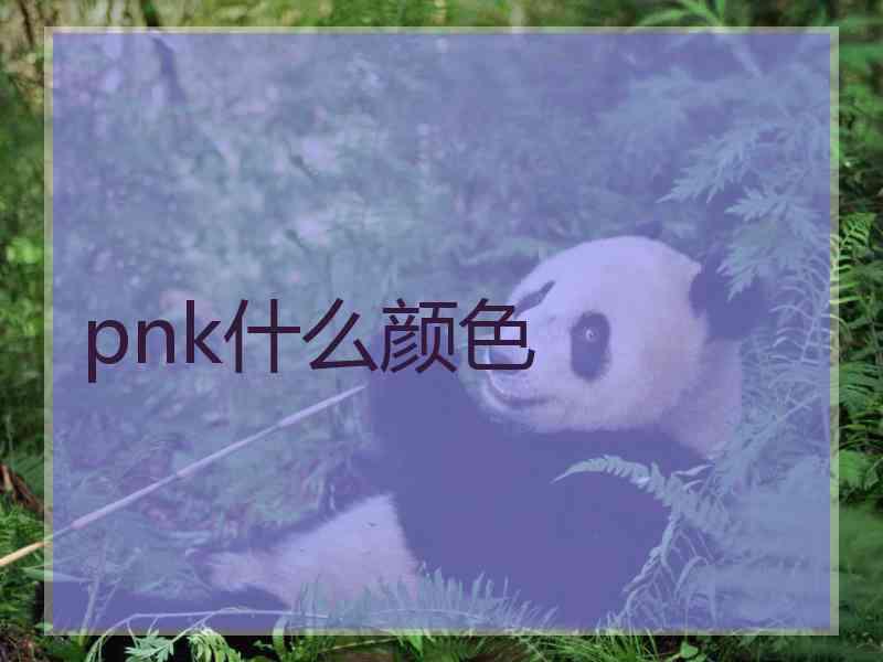 pnk什么颜色