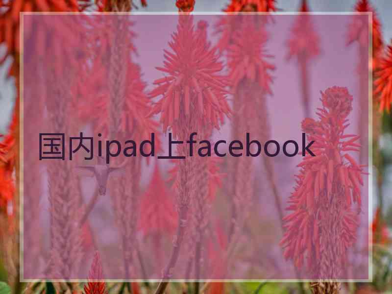 国内ipad上facebook