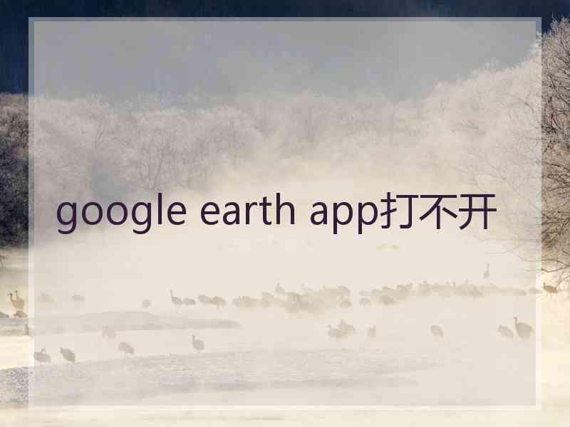 google earth app打不开