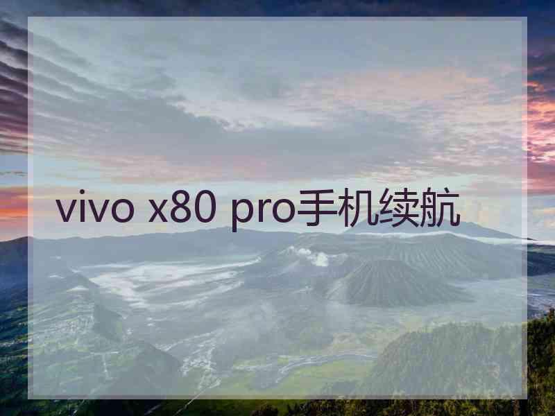 vivo x80 pro手机续航