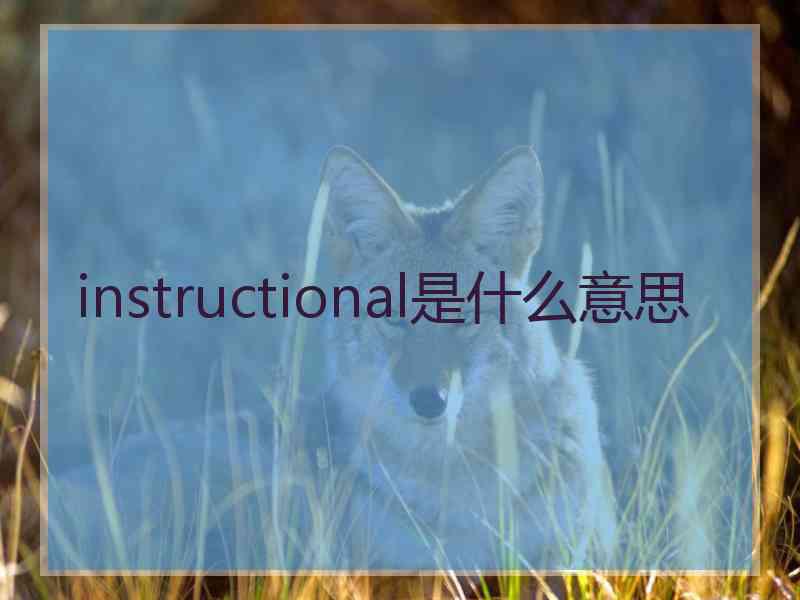 instructional是什么意思