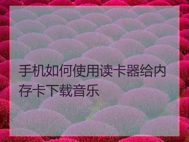 手机如何使用读卡器给内存卡下载音乐