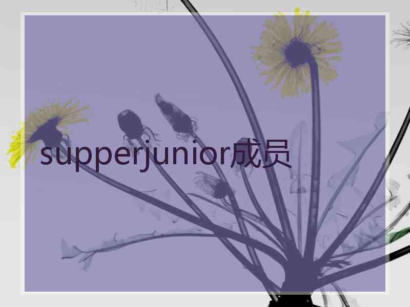 supperjunior成员