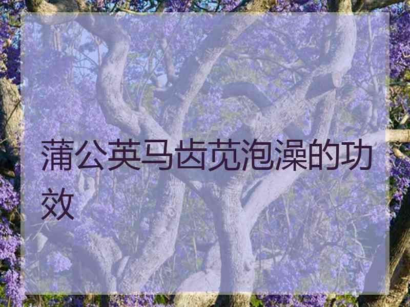 蒲公英马齿苋泡澡的功效