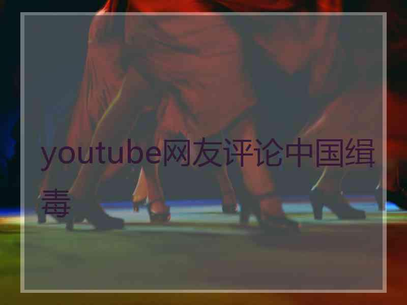 youtube网友评论中国缉毒