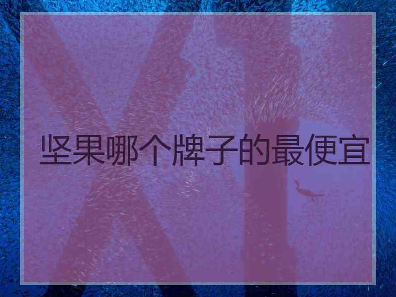 坚果哪个牌子的最便宜