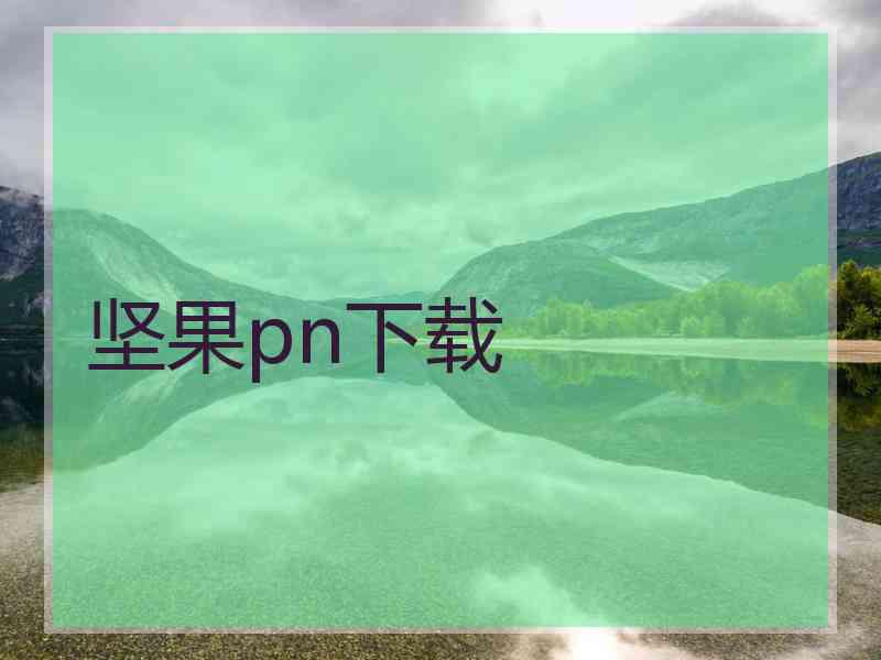 坚果pn下载