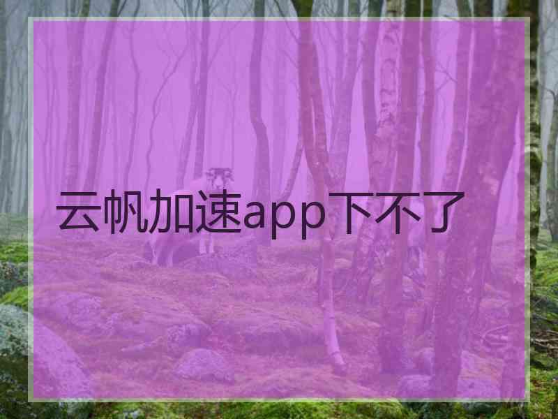 云帆加速app下不了