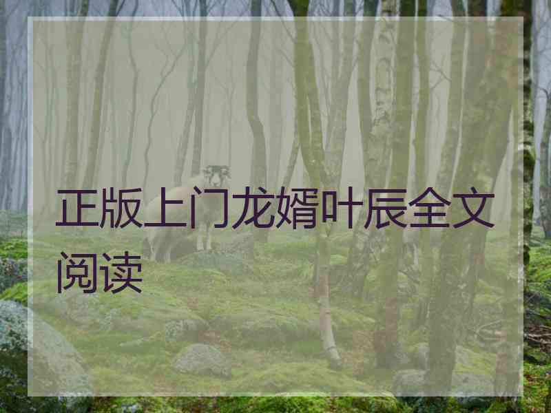 正版上门龙婿叶辰全文阅读