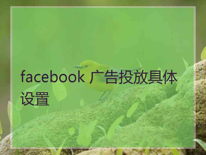 facebook 广告投放具体设置