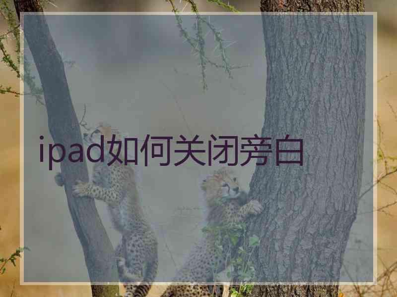 ipad如何关闭旁白