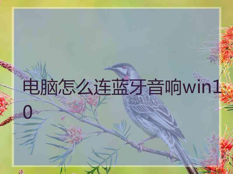 电脑怎么连蓝牙音响win10