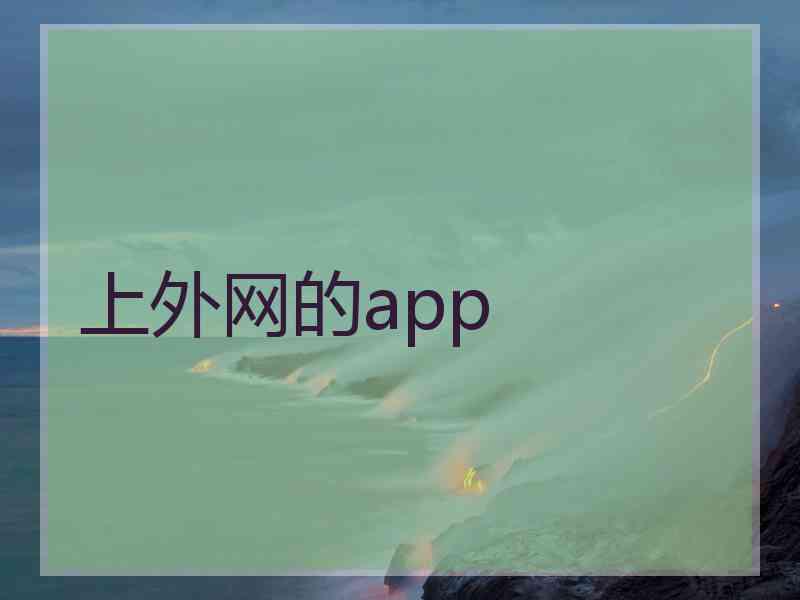 上外网的app