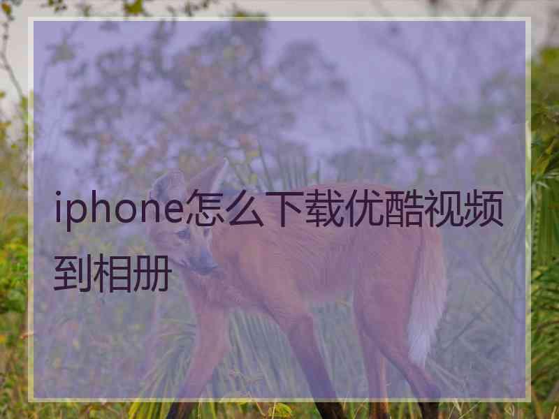 iphone怎么下载优酷视频到相册