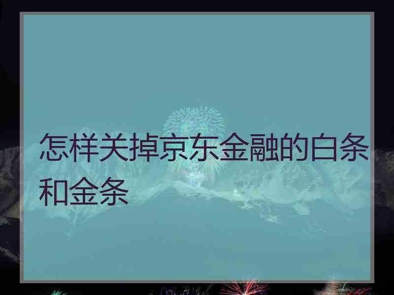 怎样关掉京东金融的白条和金条