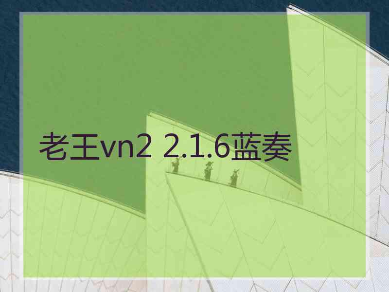 老王vn2 2.1.6蓝奏