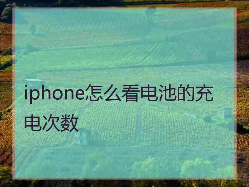 iphone怎么看电池的充电次数