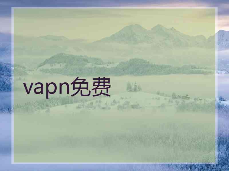 vapn免费