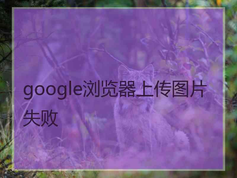 google浏览器上传图片失败