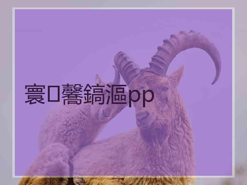 寰毊鎬漚pp