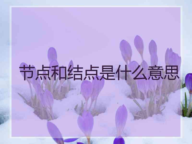 节点和结点是什么意思