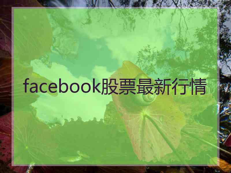 facebook股票最新行情