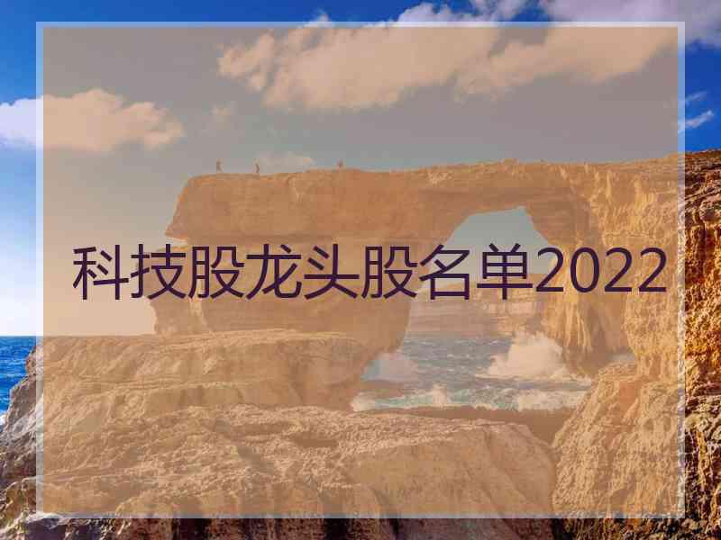 科技股龙头股名单2022