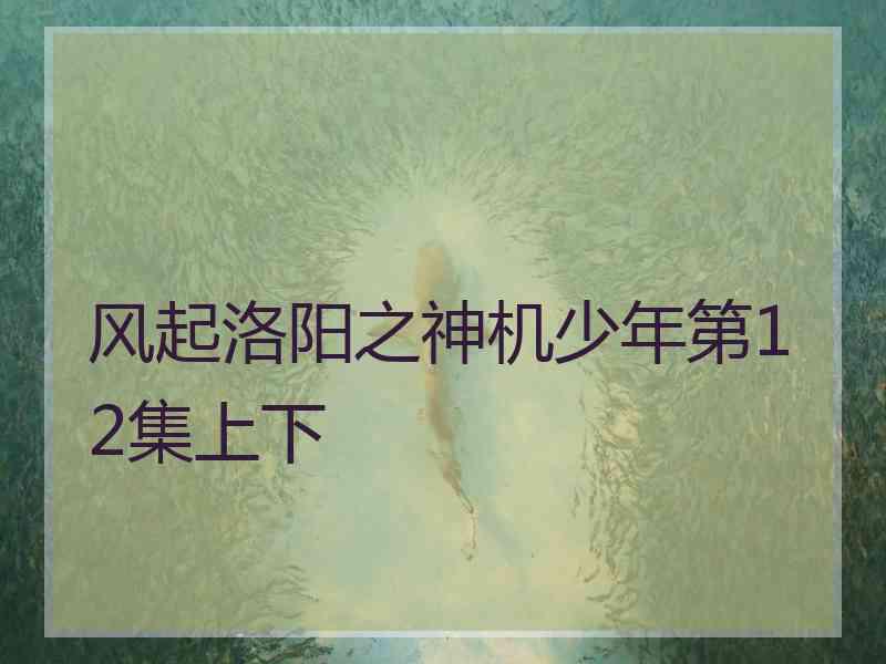 风起洛阳之神机少年第12集上下