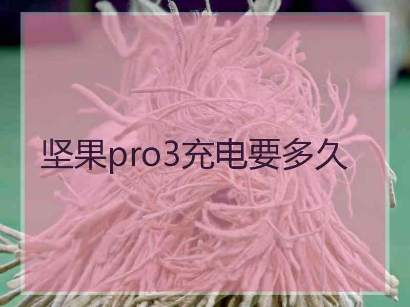 坚果pro3充电要多久