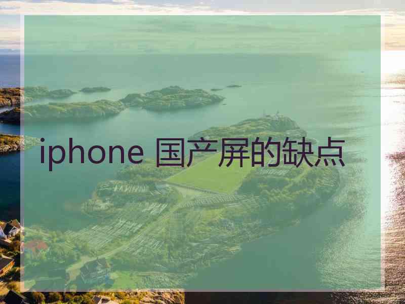 iphone 国产屏的缺点