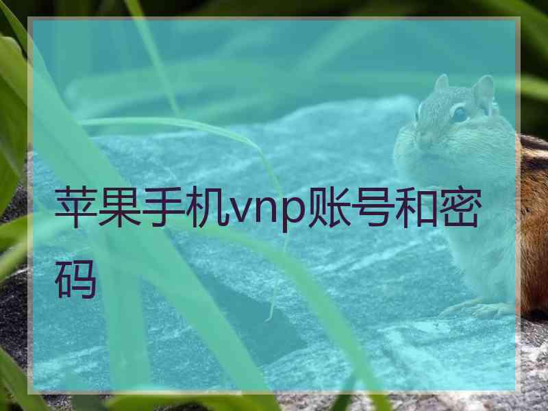 苹果手机vnp账号和密码