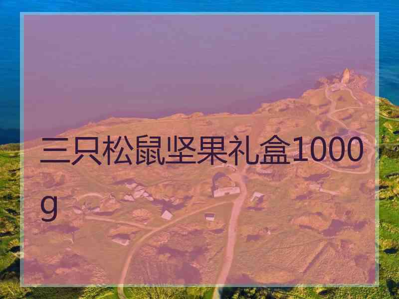 三只松鼠坚果礼盒1000g