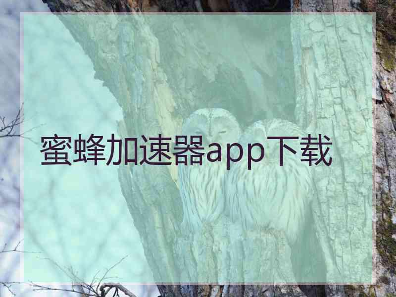 蜜蜂加速器app下载