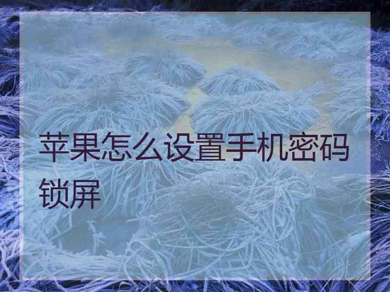 苹果怎么设置手机密码锁屏