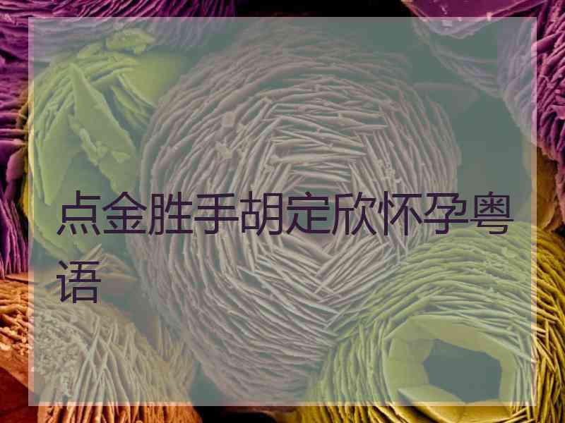 点金胜手胡定欣怀孕粤语