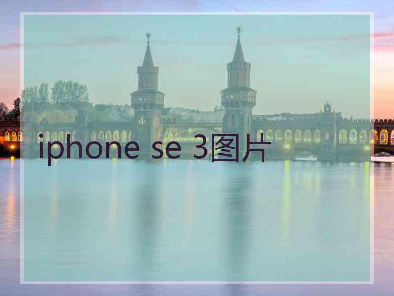 iphone se 3图片